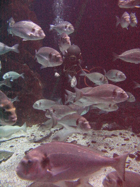 IMG_4537