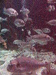 IMG_4537 IMG_4537