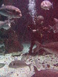 IMG_4538 IMG_4538