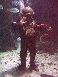 IMG_4542 IMG_4542