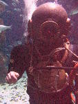IMG_4544 IMG_4544