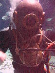 IMG_4545 IMG_4545