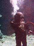IMG_4547 IMG_4547