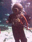 IMG_4549 IMG_4549