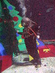 IMG_4552 IMG_4552