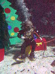 IMG_4554 IMG_4554