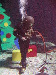 IMG_4558 IMG_4558