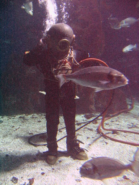 IMG_4559