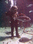 IMG_4559 IMG_4559