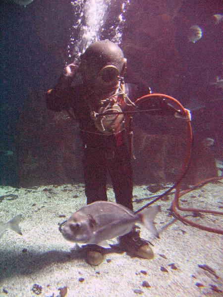 IMG_4560
