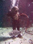 IMG_4560 IMG_4560