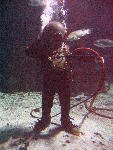IMG_4561 IMG_4561