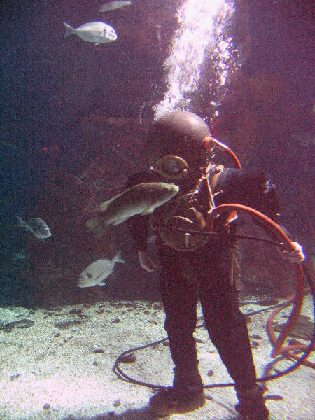 IMG_4562