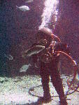 IMG_4562 IMG_4562