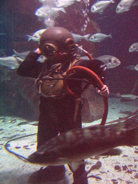 IMG_4563