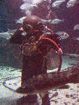 IMG_4563 IMG_4563
