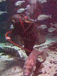 IMG_4564 IMG_4564