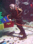IMG_4565 IMG_4565
