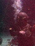 IMG_4568 IMG_4568