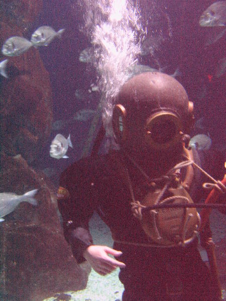 IMG_4569