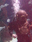 IMG_4569 IMG_4569