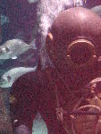 IMG_4570 IMG_4570
