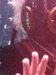 IMG_4571 IMG_4571