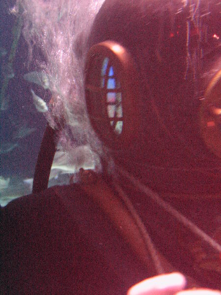 IMG_4572