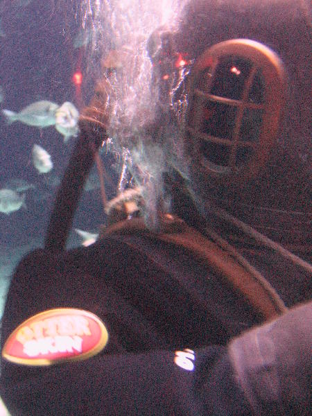 IMG_4573