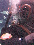 IMG_4573 IMG_4573