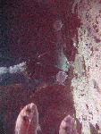 IMG_4574 IMG_4574