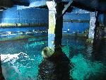IMG_4588 IMG_4588