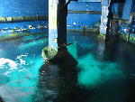 IMG_4589 IMG_4589