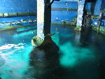 IMG_4590 IMG_4590