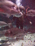 IMG_4610 IMG_4610
