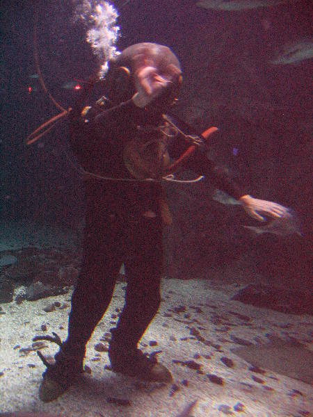 IMG_4611