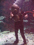 IMG_4612 IMG_4612