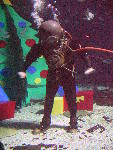 IMG_4616 IMG_4616