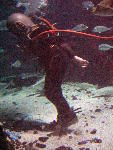 IMG_4619 IMG_4619
