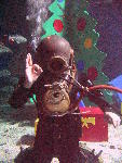 IMG_4620 IMG_4620