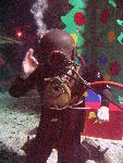IMG_4621 IMG_4621