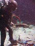 IMG_4624 IMG_4624