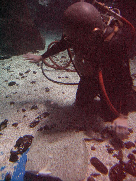 IMG_4625
