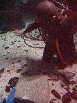 IMG_4625 IMG_4625