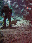 IMG_4626 IMG_4626