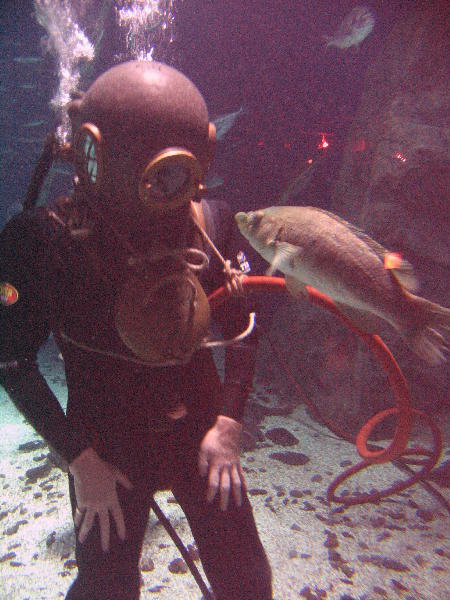 IMG_4627