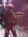 IMG_4628 IMG_4628