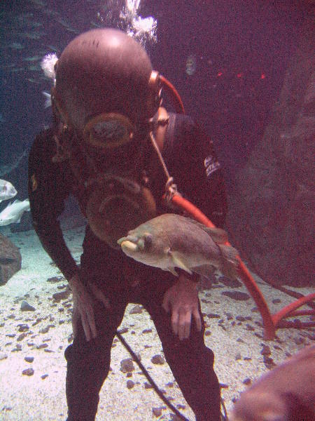 IMG_4629