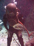 IMG_4629 IMG_4629