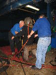 IMG_4655 IMG_4655